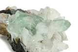 Gemmy Apophyllite Crystals with Stilbite - India #243884-2